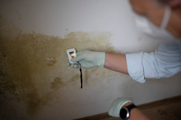 Best Mold Testing  in Cartersville, GA