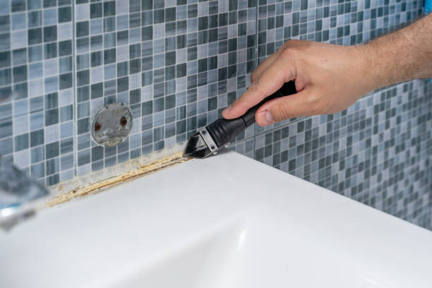 Best Black Mold Removal  in Cartersville, GA
